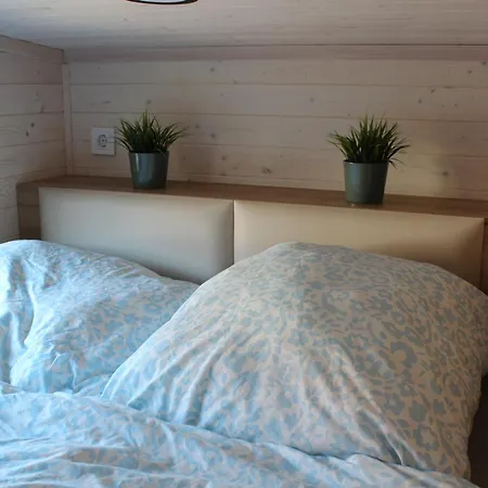 Ke-tiny-siedlung Mit Sauna Haus Buddy